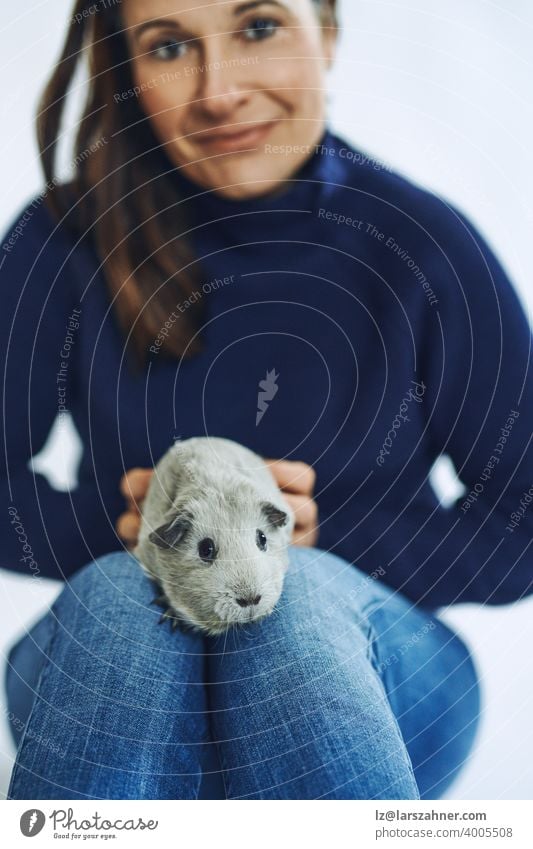 Brünette glückliche Frau hält ein graues Meerschweinchen, das auf ihren Knien sitzt und in die Kamera schaut Haustier klein Papier Sitzen in die Kamera schauen