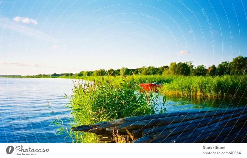 Schilfmeer Meer Schilfrohr Wasserfahrzeug Himme