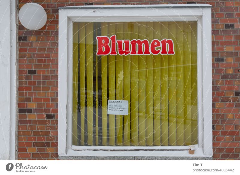 Blumenladen in Berlin Mitte SHOPPING flower Ladengeschäft Nordbahnhof Fenster Schaufenster