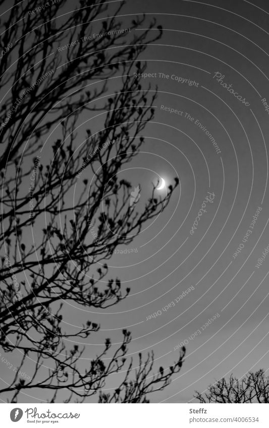 sleeping moon Halbmond Mond Mondschein Nacht Nachthimmel Nachtruhe Mondlicht Mondnacht Silhouette nächtlicher Himmel nächtliche Ruhe Sehnsucht Dunkelheit