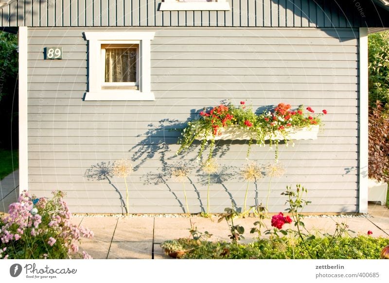 Laube Wellness Erholung ruhig Freizeit & Hobby Sommer Häusliches Leben Haus Traumhaus Garten Pflanze Wetter Schönes Wetter Mauer Wand Terrasse Fenster gut schön