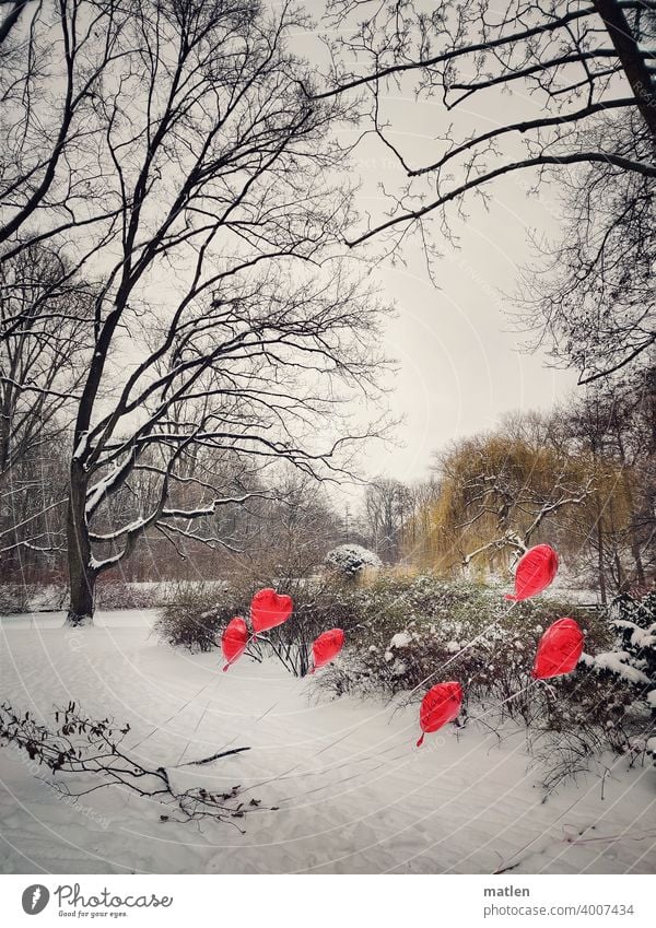 Kalte Herzen Luftballon Winter Schnee Baum Strauch Menschenleer Außenaufnahme kalt Frost Landschaft Himmel Tag Wind