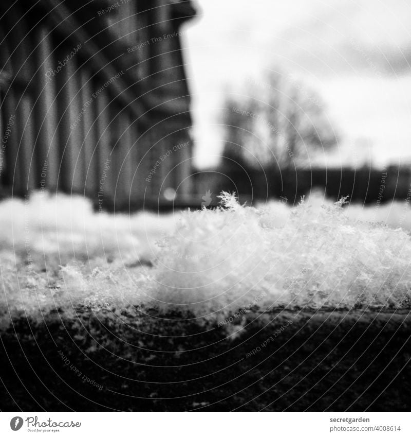 Flokkati. Schnee Schneeflocke Schwarzweißfoto Brüstung Balkon Schneefall Gebäude flockig flauschig unscharfer Hintergrund Unschärfe Detailaufnahme Winter kalt