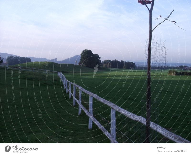 windows bildschirmhintergrund... Salzkammergut Zaun grün Gras Baum Hintergrundbild Wohnung Wäldchen Weide Bundesland Oberösterreich Sommer Landschaft