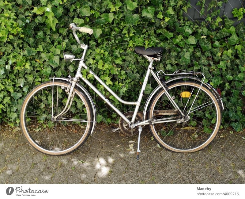 Altes Damenrad im Sommer vor einer grünen Hecke auf grauem Verbundpflaster in Oerlinghausen bei Bielefeld im Teutoburger Wald in Ostwestfalen-Lippe Fahrrad Rad