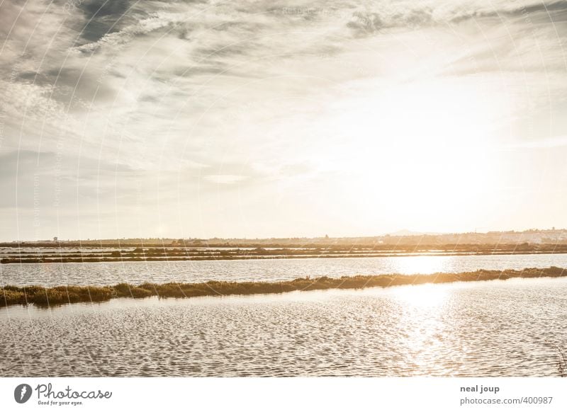 Saline -I- Salz Ferien & Urlaub & Reisen Sommer Landwirtschaft Forstwirtschaft Landschaft Urelemente Wasser Himmel Meer Atlantik Tavira Fischerdorf ästhetisch