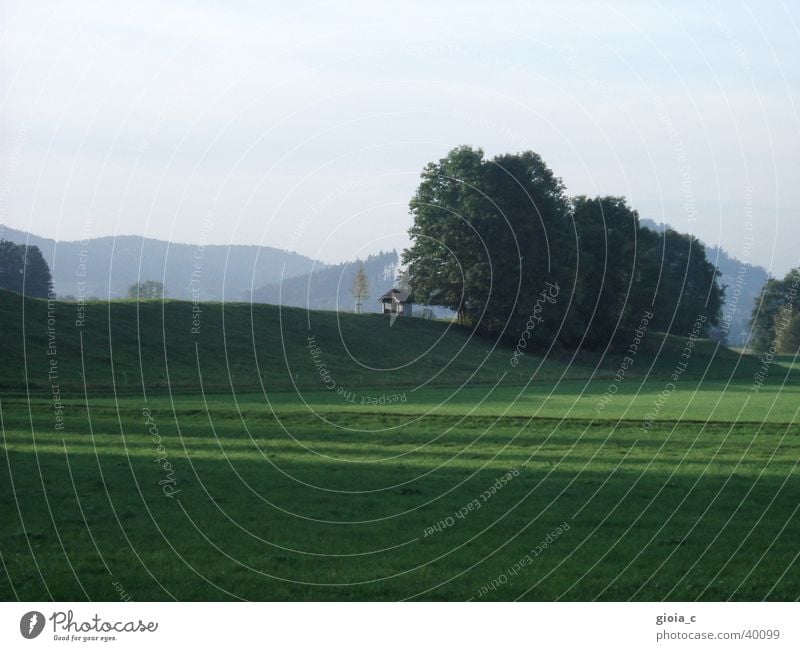 home Wiese Religion & Glaube Christentum Wald Baum Hügel Feld Sommer Kraft Berge u. Gebirge