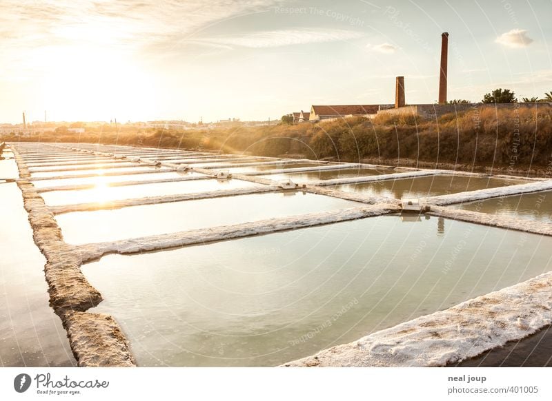 Saline -II- Salz Ferien & Urlaub & Reisen Sommer Landwirtschaft Forstwirtschaft Handwerk Landschaft Urelemente Wasser Portugal Fischerdorf Menschenleer frei