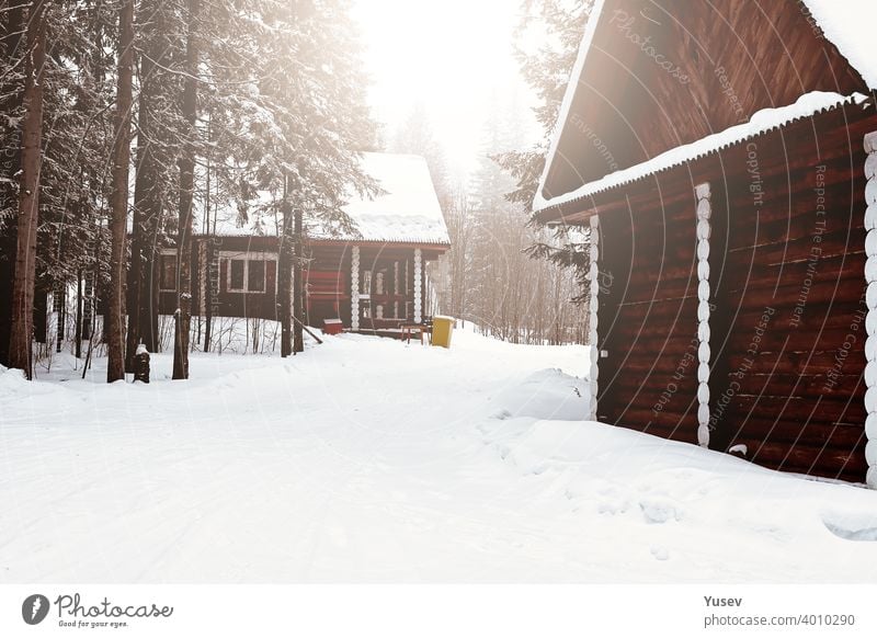 Holzhaus zwischen Bäumen im Winterwald. Blockhaus. Gehäuse aus natürlichen Baumaterialien. Umweltfreundliche Konstruktion. hölzern Haus Wald Totholz Kabine