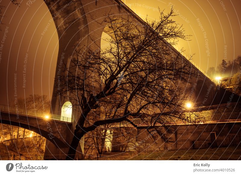 Die Zaehringen-Brücke und ein abgestorbener Baum bei Nacht, Fribourg, Schweiz Langzeitbelichtungsfotografie langsamer Verschluss Nachtlandschaft Abend