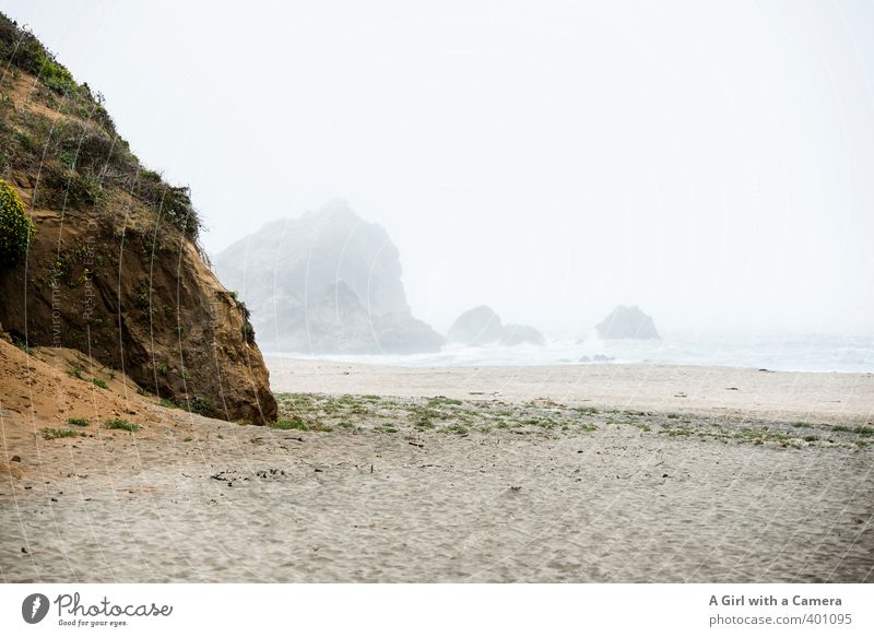 Point Reyes Marine Area Umwelt Natur Landschaft Sommer schlechtes Wetter Nebel Wellen Küste Strand Bucht außergewöhnlich natürlich Originalität Highway One