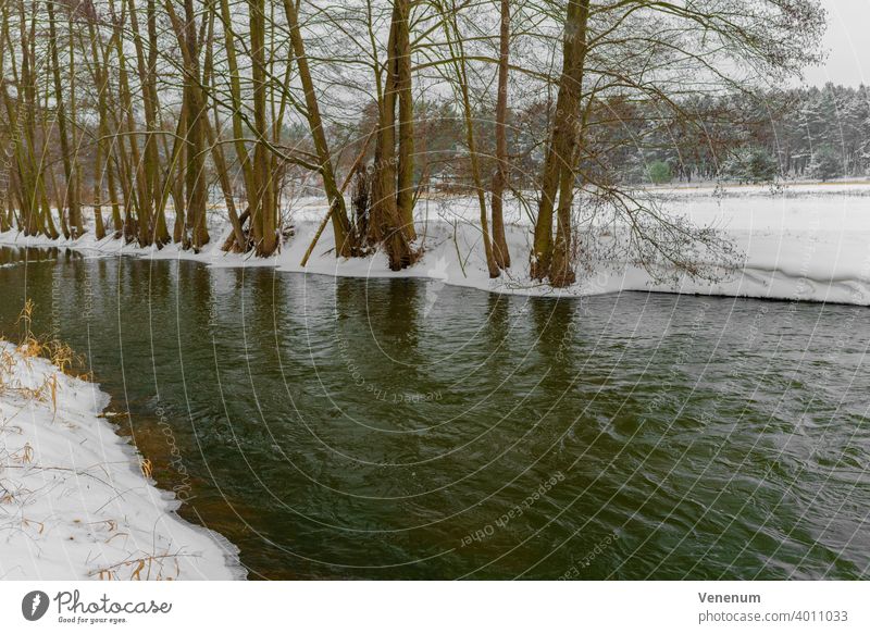 Kleiner Fluss im Winter in Deutschland , Schnee am Ufer, der Fluss Hammerfließ kurz vor Gottow Flüsse Wasser Wasserreflexionen Natur Wald Wälder Ast