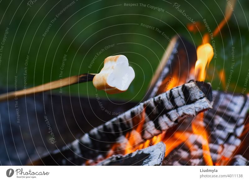 Marshmallow rösten über den Feuerflammen. Marshmallow am Spieß auf dem Lagerfeuer geröstet Abenteuer Hintergrund Barbecue Freudenfeuer Bonbon zäh Nahaufnahme