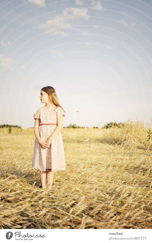 mädchen feminin Kind Mädchen Kopf Haare & Frisuren Gesicht 8-13 Jahre Kindheit Natur Landschaft Himmel Sommer Klima Schönes Wetter Dürre Feld Idylle Stimmung