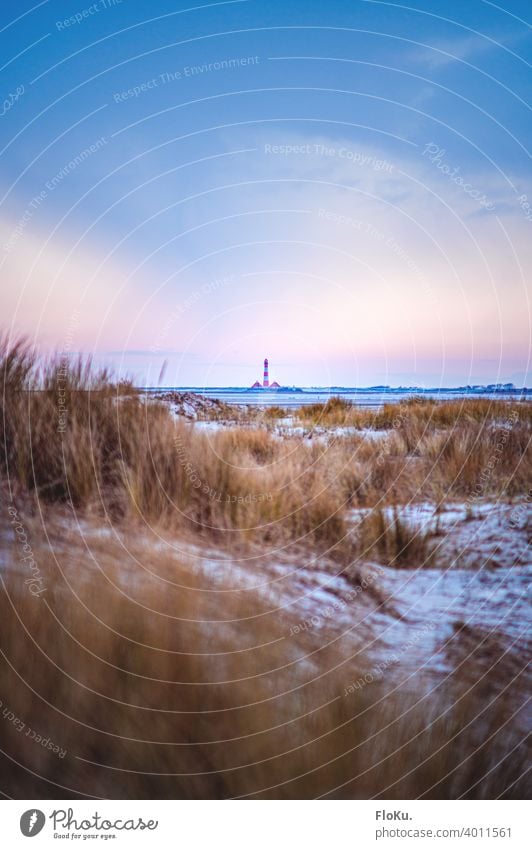 Leuchtturm Westerhever hinter den Dünen von St. Peter-Ording Nordsee Nordseeküste Strand Meer Ferien & Urlaub & Reisen Außenaufnahme Sand Küste Himmel Erholung