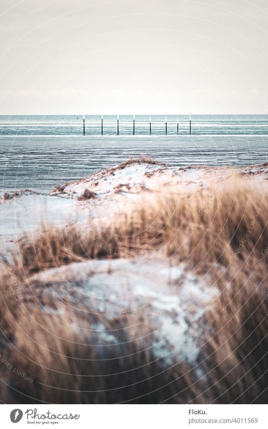 Pfähle am Strand von St. Peter-Ording Nordsee Nordseeküste Dünen Meer Ferien & Urlaub & Reisen Außenaufnahme Sand Küste Himmel Erholung Landschaft Ferne