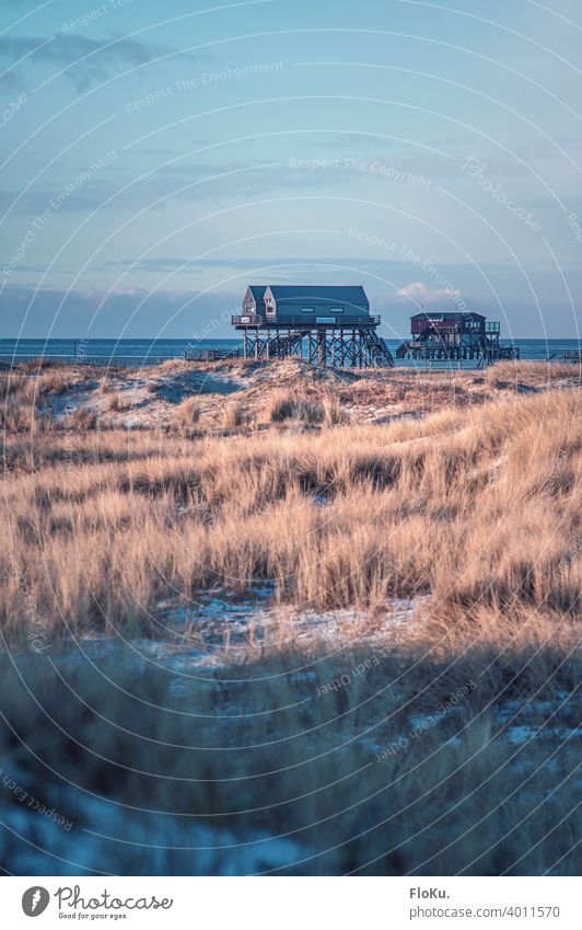 Winterstimmung in St. Peter-Ording an der Nordseeküste Strand Dünen Meer Ferien & Urlaub & Reisen Außenaufnahme Sand Küste Himmel Erholung Landschaft Ferne