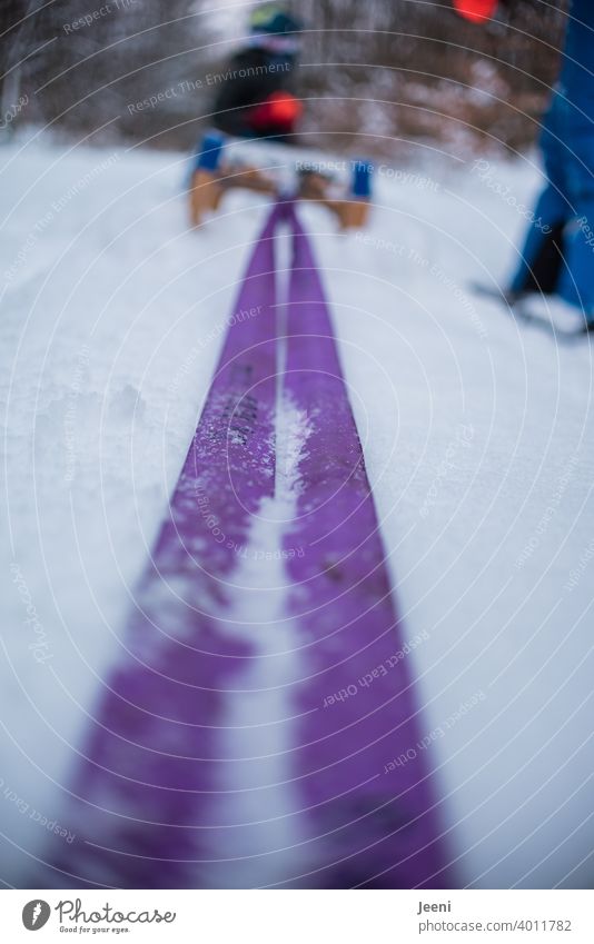 Kinder lassen sich im Winter auf ihren Schlitten mit einem langen Abschleppseil durch den Wald ziehen Schnee abschleppen abschleppseil kalt Farbfoto Freude