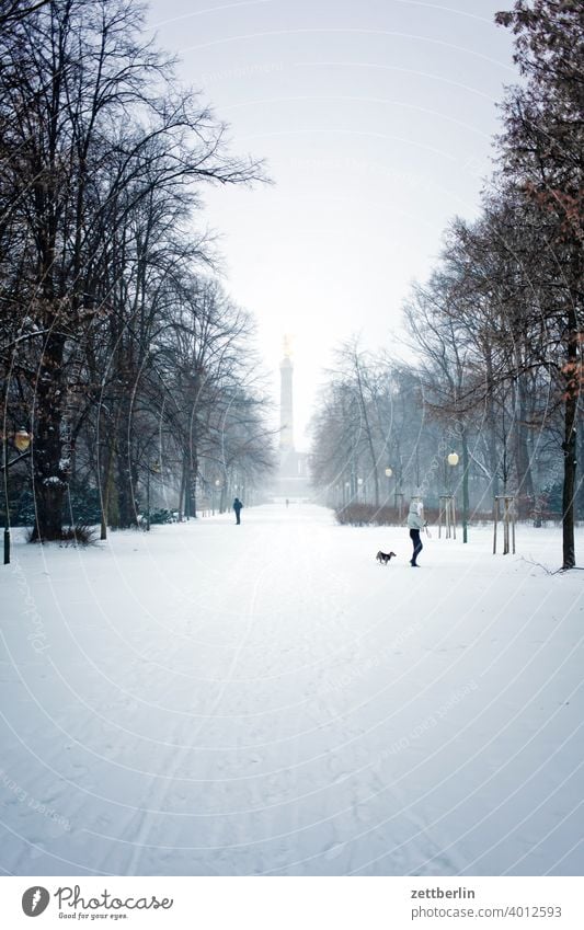 Winter im Großen Tiergarten abend baum berlin blattgold denkmal deutschland dämmerung eis else feierabend figur frost goldelse großer stern hauptstadt himmel