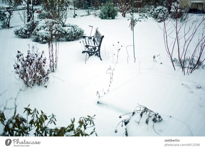 Winter im Gärtchen abend ast baum dunkel dämmerung eis erholung ferien frost garten kalt kleingarten kleingartenkolonie menschenleer natur neuschnee pflanze