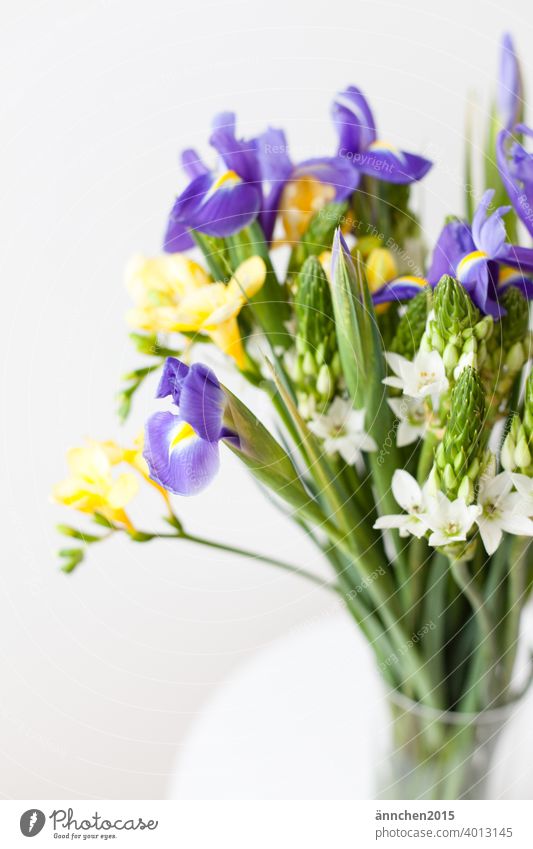 Ein bunter Strauß steht am rechten Bildrand Blumen Blumenstrauß Frühling Blüte Pflanze Natur Farbfoto Sommer weiß schön Blühend Dekoration & Verzierung