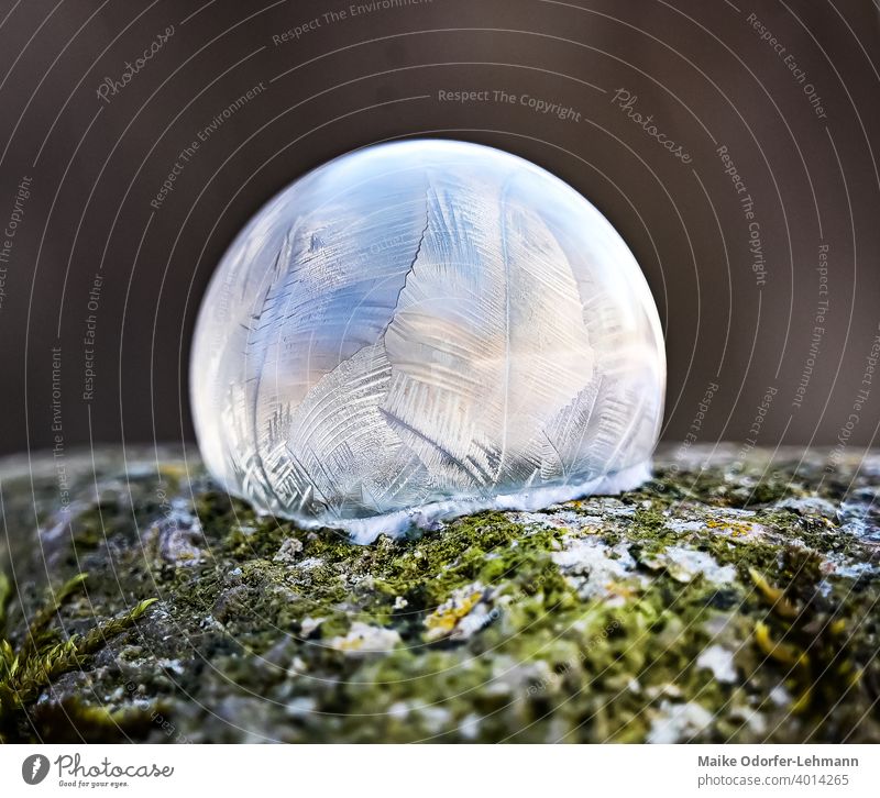 Gefrierblase Seifenblase Gefrorene Seifenblase Frost Kristalle Eis kalt frieren Schnee Natur Winter Außenaufnahme Makroaufnahme Farbfoto Menschenleer