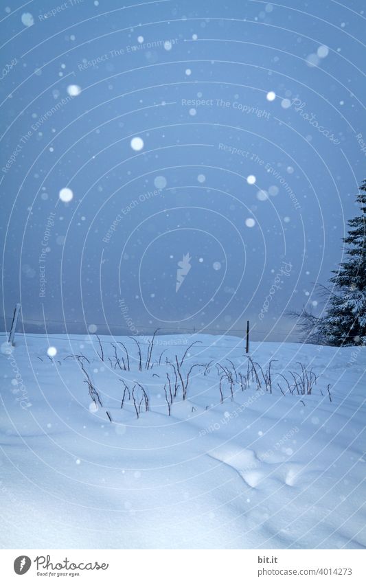 Jetzt aber schnell raus l bevor die Winterpracht vorbei ist. Schnee Schneefall Schneelandschaft Schneedecke Schneeflocke kalt Frost Eis Natur weiß