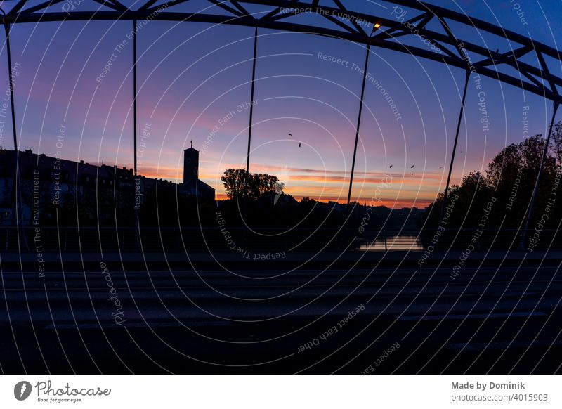 Sonnenaufgang auf einer Brücke in Bamberg mit vorbeifliegenden Vögeln Menschenleer Außenaufnahme Sonnenlicht goldene stunde lila goldene Stunde Natur Farbfoto