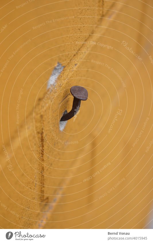 Aufhänger Wand Nagel verbogen Rost aufhängen Pilz mauerwerk Mauer Mauerstein Farbe wandfarbe Fassade Fuge Bokeh rostig Loch provisorium provisorisch gelb braun