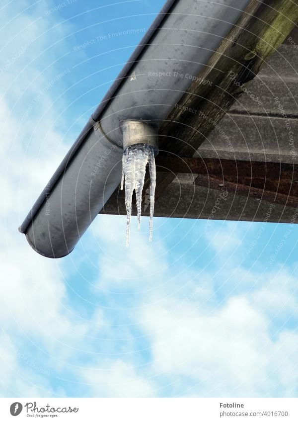 Eiszapfen an einer Regenrinne eines lang verlassenen Hausdaches Dach Winter kalt gefroren Frost blau weiß Wasser frieren Außenaufnahme Farbfoto Menschenleer Tag