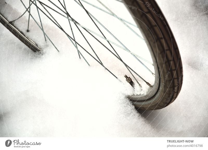 Jetzt aber schnell | ...ein Foto machen, bevor der frische Schnee wieder geschmolzen ist, der jetzt wie Zuckerwatte sich anschmiegt an das Detail eines Fahrrads mit Speichen, Felge, Ventil und Reifen