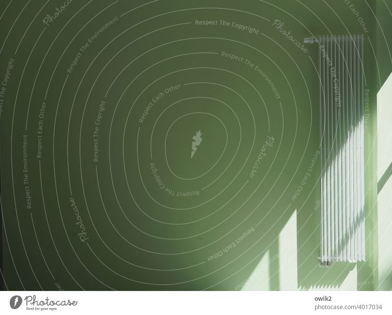 Wirtschaftlich denken Heizkörper Metall hängen Lichteinfall grün Wand lang dünn streng abweisend Farbfoto unpersönlich Innenaufnahme Detailaufnahme Eingang