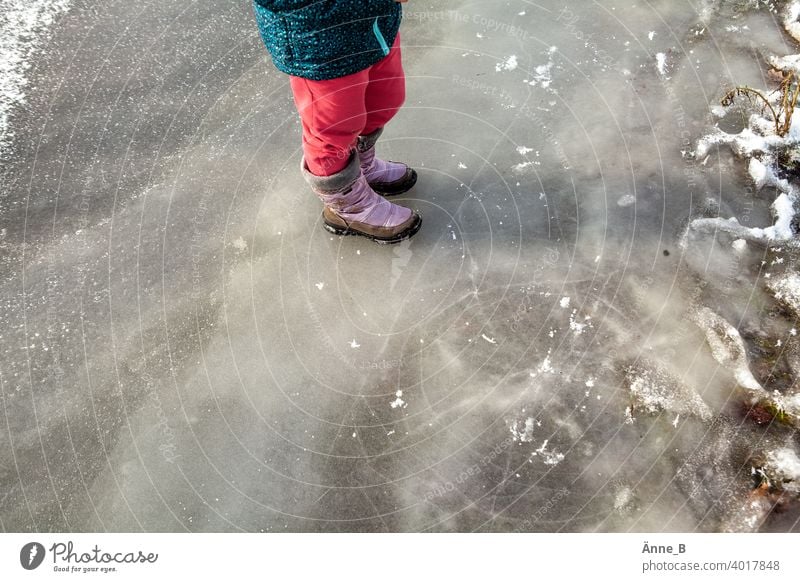 Am überschwemmten Ufer eines zugefrorenen Flusses Havel Winter Winterstimmung Eisfläche Außenaufnahme frieren Frost Strukturen & Formen Härtetest Fließgewässer