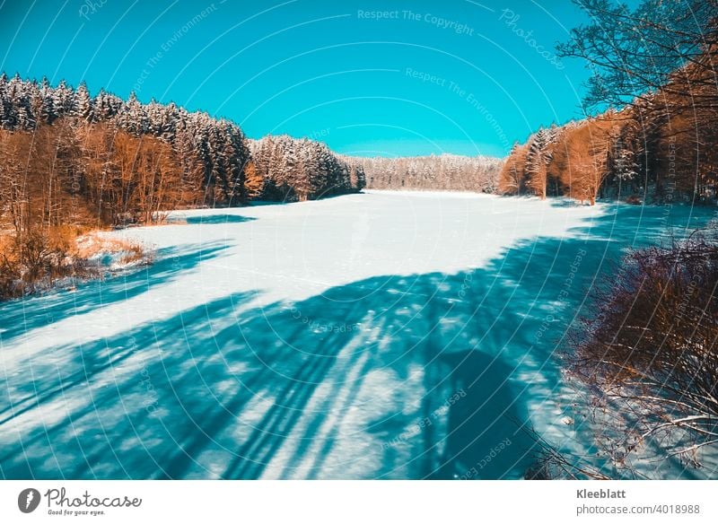 Im Himmelreich - Naherholungsgebiet in den schönsten Winterfarben vom Hochsitz eines Jägers aus gesehen Braun Weiß Blau herrliche Winterfarben Wintersonne