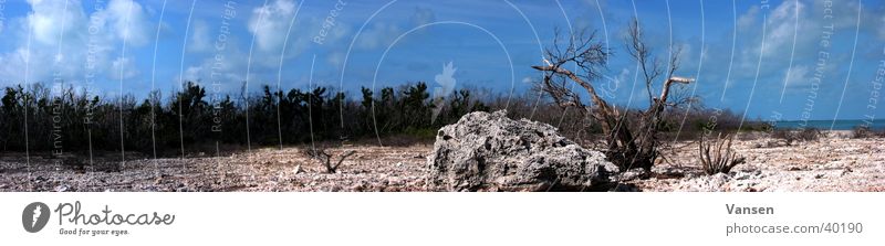 Dürre Panorama (Aussicht) Einsamkeit Wüste dünn Insel Sonne groß Panorama (Bildformat)