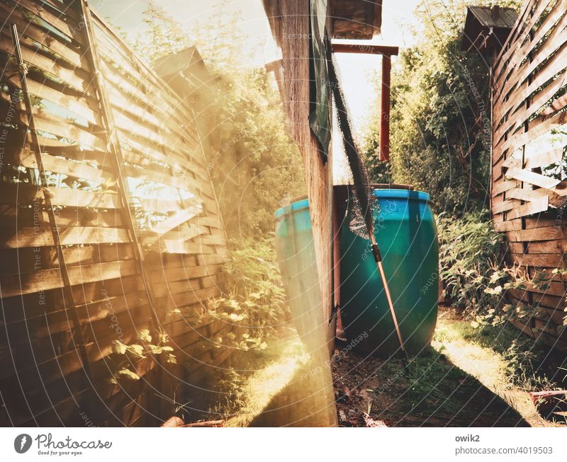 Gerümpel Garten Wasserfass Zaun Wasserzuber Landschaft Himmel Sommer Baum Licht Tag Menschenleer Außenaufnahme Farbfoto leuchtende Farben Hecke