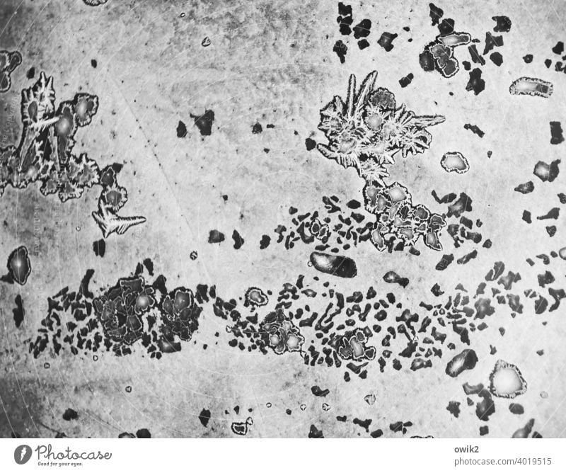 Kryptographie Detailaufnahme Schwarzweißfoto geheimnisvoll rätselhaft unklar kryptisch Zeichen minimalistisch Andeutung Außenaufnahme Kunst Eisblumen