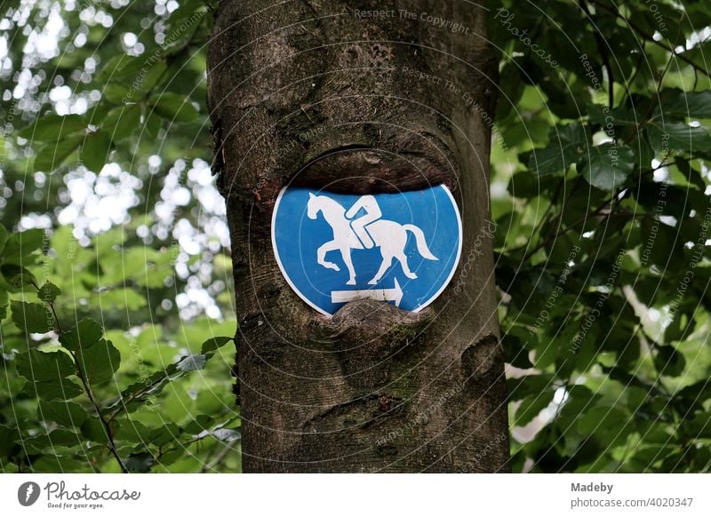 Ein Verkehrszeichen warnt vor dem kopflosen Reiter am Hermannsweg bei Oerlinghausen im Teutoburger Wald in Ostwestfalen-Lippe Reitweg Schild Zeichen