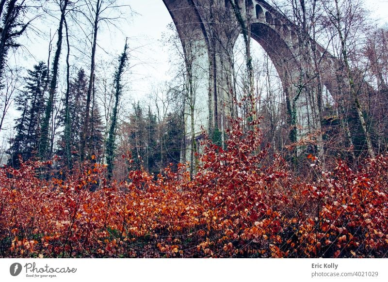 Die Grandfey-Brücke von unten an einem nebligen Tag Freiburg Schweiz Schweizer Europa Europäer Nebel Nebellandschaft trist Tristesse düstere Atmosphäre