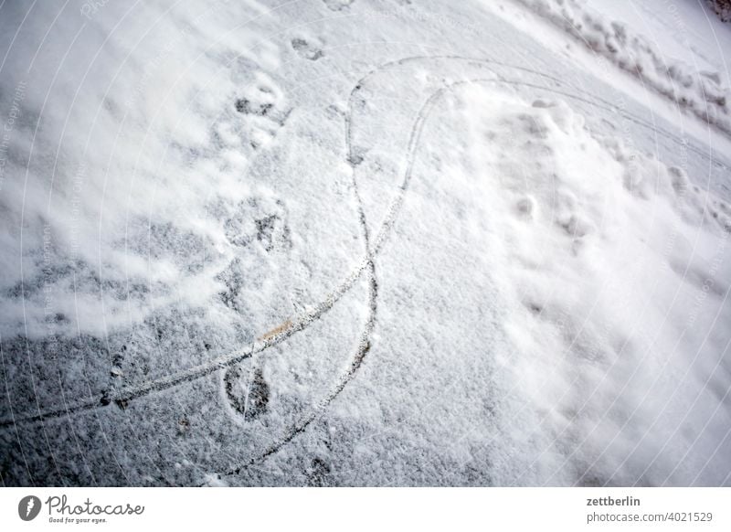 Spuren im Schnee berlin eis februar ferien frost jenuar kalt kälte neuschnee stadt urban winter winterferien januar dezember spur fährte schneedecke hausmeister