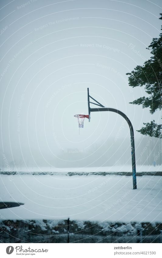 Baluschekpark mit Basketballkorb again baluschek park baum berlin deutschland diesig dunst eis februar feierabend ferien frost hauptstadt himmel kalt kälte