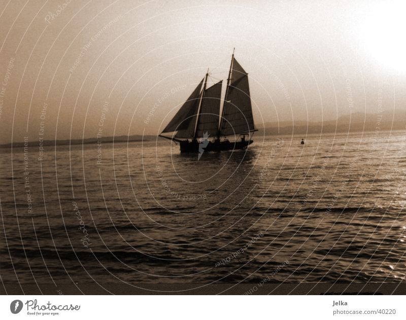 Segelschiff auf dem Gardasee Segeln Wasser See Lazise Italien Europa Schifffahrt Binnenschifffahrt Bootsfahrt Segelboot Wasserfahrzeug Bewegung Gewässer