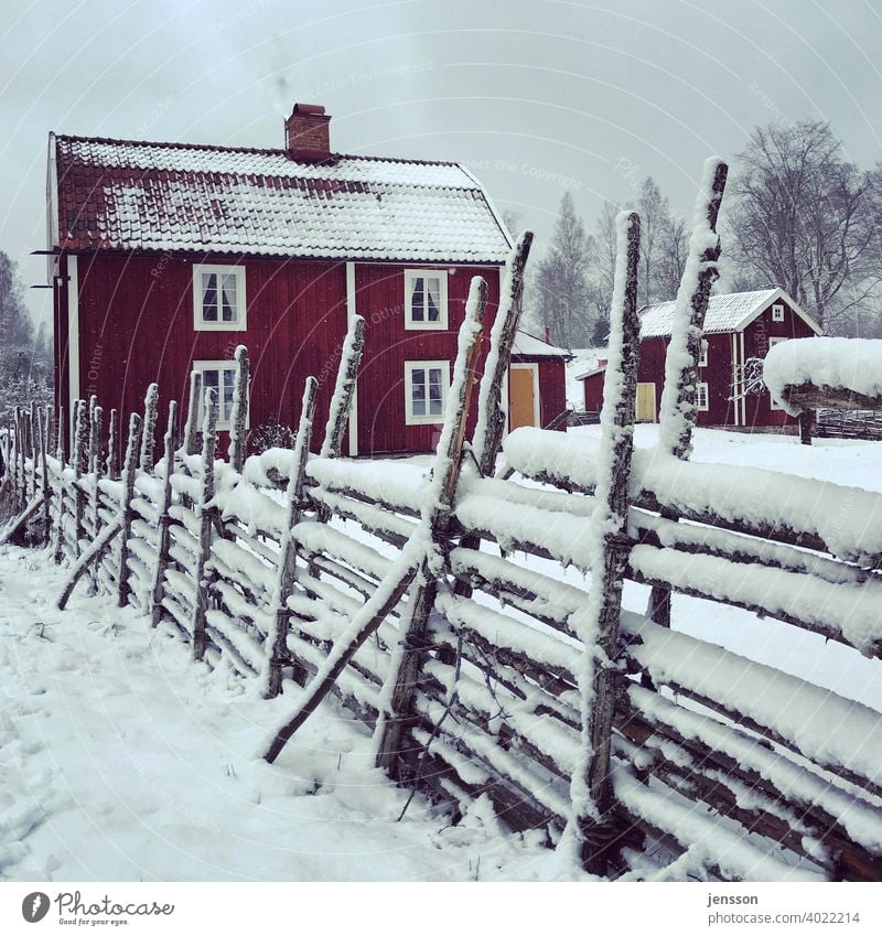 Winter in Schweden Schwedenhaus Zaun Holz Smaland Skandinavien skandinavisch Schnee Winterstimmung ruhig verschneit verträumt Schneelandschaft kalt Wintertag