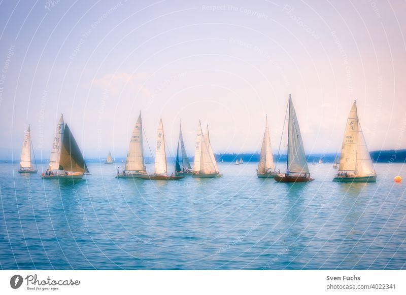 Segelboote auf dem Bodensee bei romantischer Stimmung (Weichzeichner) segelboote segelsport segeln wassersport bodensee gewässer deutschland baden-württemberg