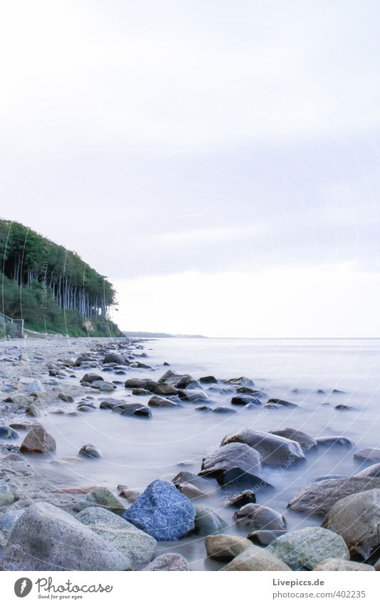 Ostseeküste Strand Meer Wellen Umwelt Natur Landschaft Sand Wasser Himmel Wolken Herbst Wind Pflanze Baum Wald Küste Stein Holz frisch Zusammensein kalt nass