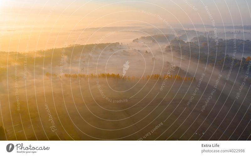 Schuss über der Landschaft, mehreren bebauten Parzellen und einem Teil des Waldes oben Antenne landwirtschaftlich Ackerbau anbaufähig Herbst Borte Schutzdach