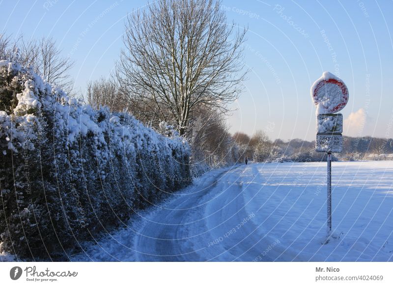 Winterlandschaft Wege & Pfade Schnee Spuren kalt weiß Hecke Baum Schilder & Markierungen Verkehrsschild schneebedeckt Himmel Feld Einsamkeit Umwelt Landschaft