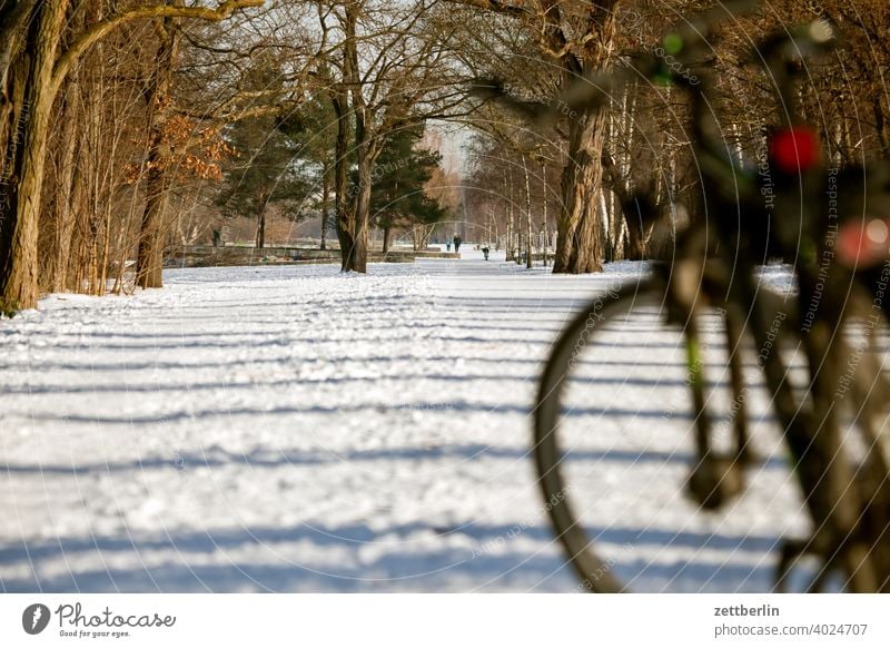 Baluschekweg im Baluschekpark baluschek park baum berlin deutschland diesig dunst eis februar feierabend ferien frost hauptstadt himmel kalt kälte menschenleer