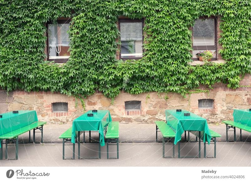 Grüne Biergarnitur mit Tischdecken aus Wachstuch vor alter begrünter Fassade bei den Golden Oldies im Sommer in Wettenberg Krofdorf-Gleiberg bei Gießen in Mittelhessen