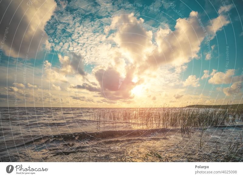 Schöner Sonnenuntergang am Meer Feiertag stumm Skandinavien Schilfrohr Morgendämmerung See farbenfroh Park Fluss Ansicht Saison natürlich Tourismus orange Cloud